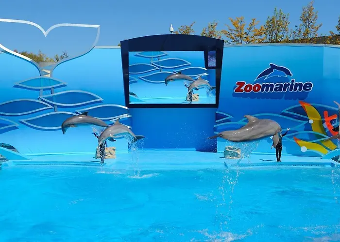 Beautiful Coral And Ocean Blue In Oceano Atlantico *