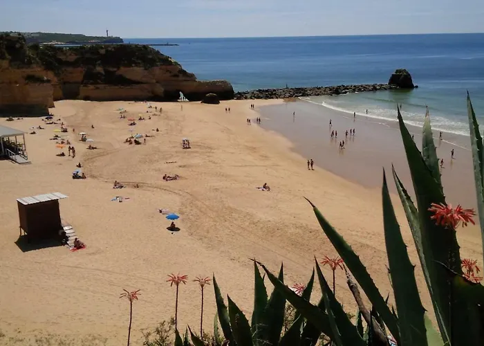 Beautiful Coral And Ocean Blue In Oceano Atlantico מלון